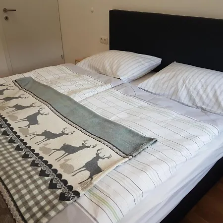 Rainer Apartment Fieberbrunn