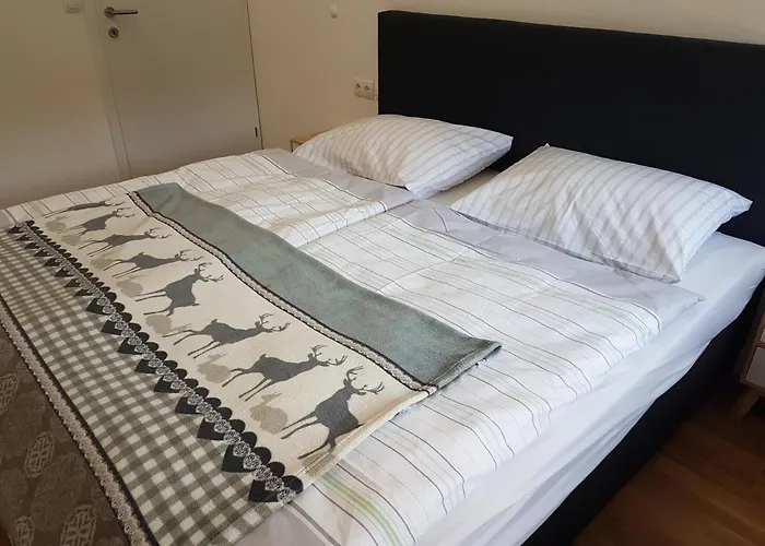 Rainer Appartamento Fieberbrunn