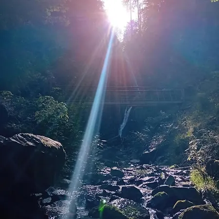 Rainer 公寓